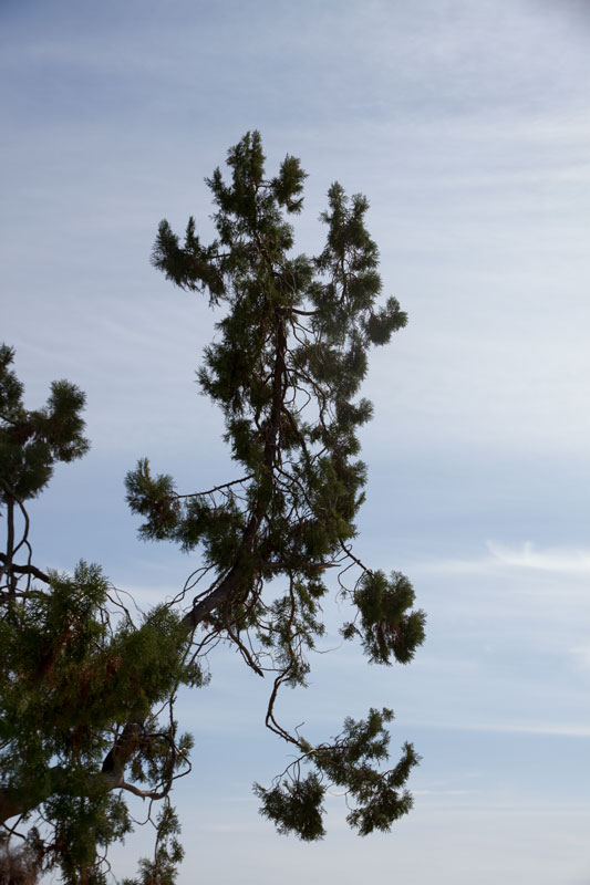 S_9658.jpg