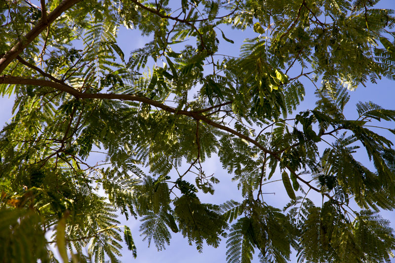 S_9666.jpg