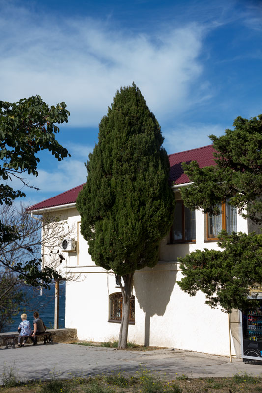 S_9668.jpg