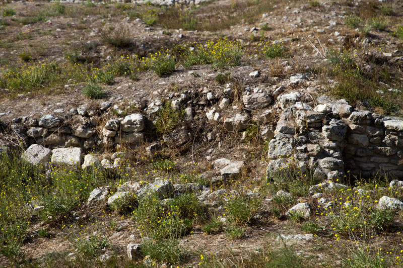 S_9670.jpg