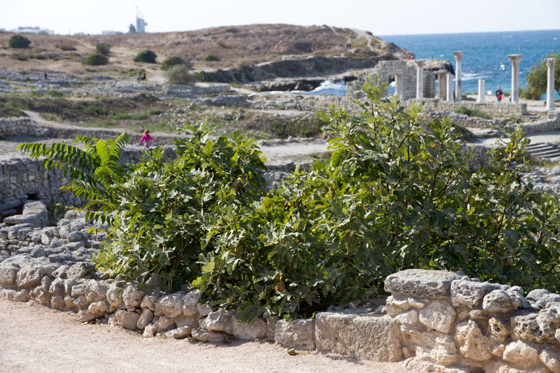 S_9673.jpg