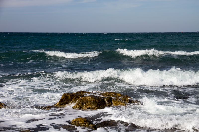 S_9681.jpg