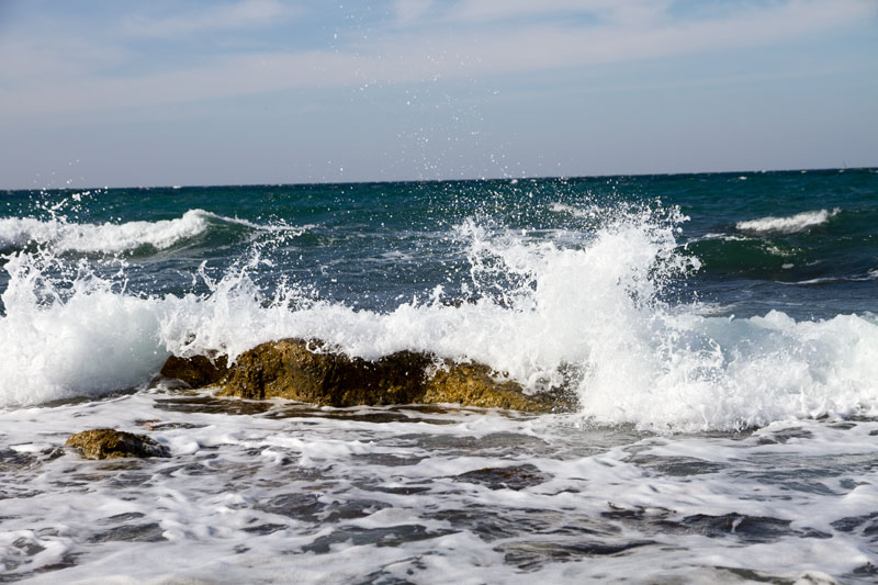 S_9685.jpg