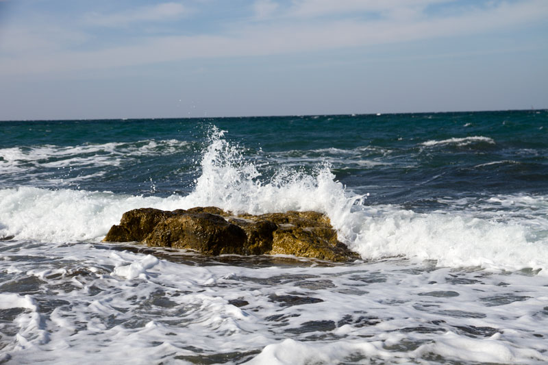 S_9687.jpg