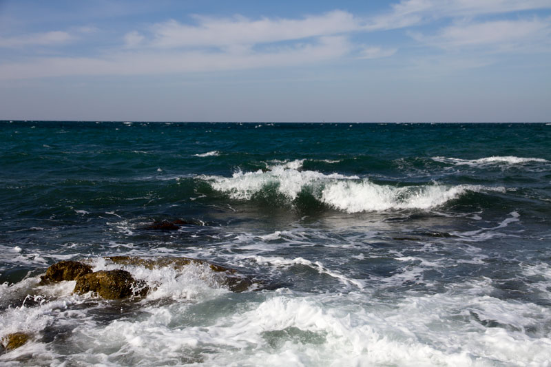 S_9692.jpg