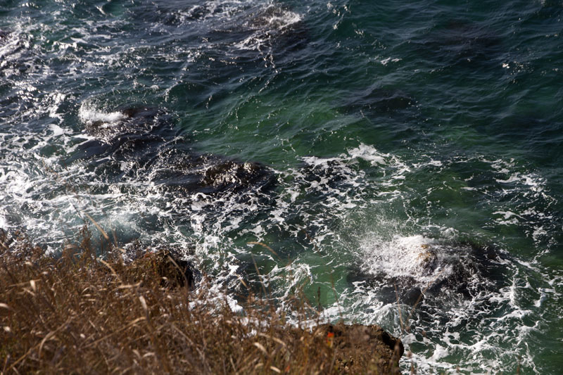 S_9719.jpg