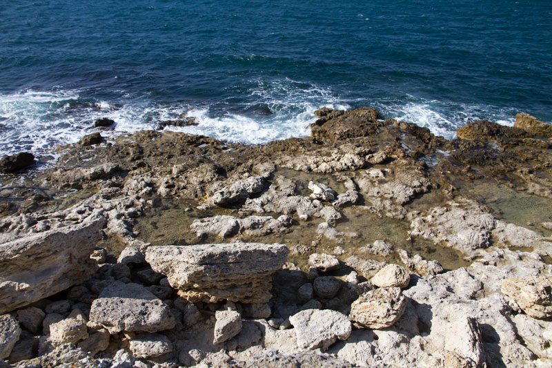 S_9724.jpg