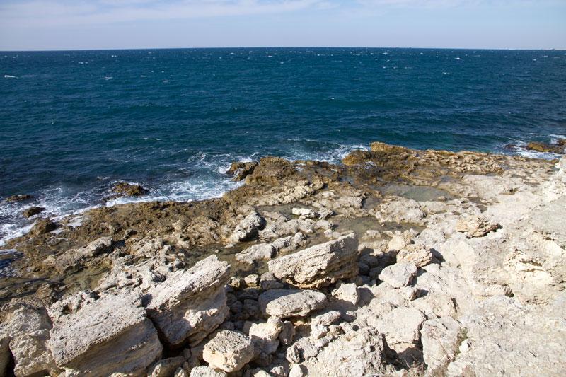 S_9726.jpg
