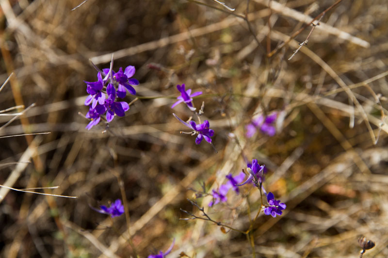 S_9728.jpg
