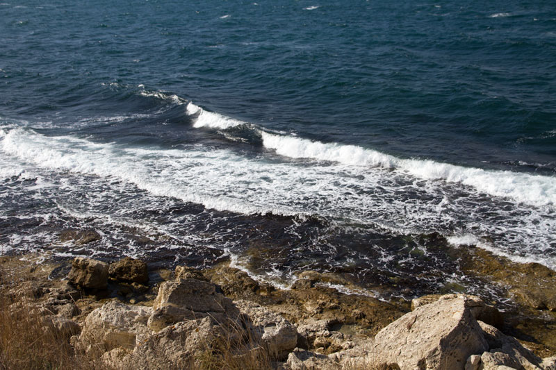 S_9729.jpg