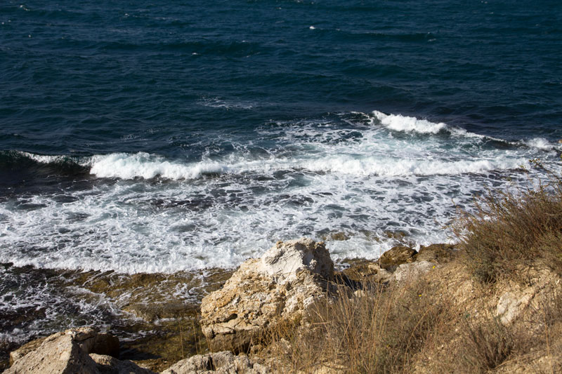 S_9730.jpg