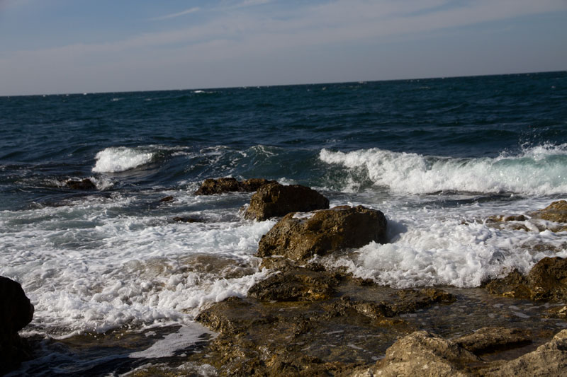 S_9736.jpg