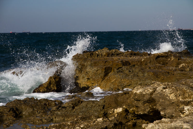 S_9737.jpg