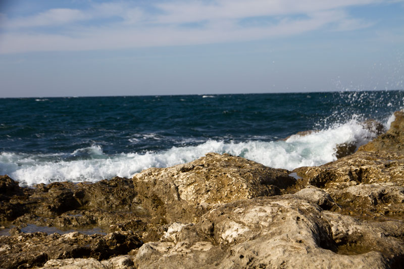 S_9739.jpg