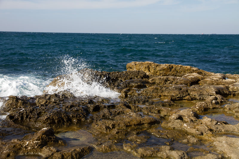 S_9742.jpg