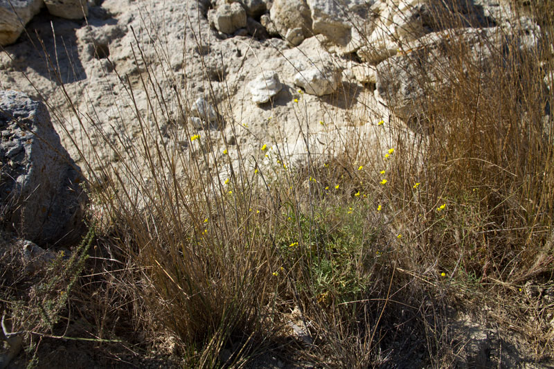 S_9752.jpg