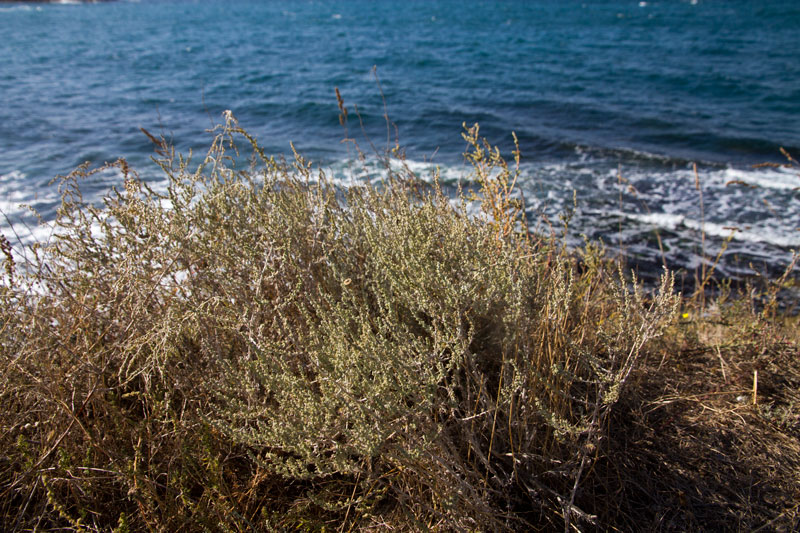 S_9753.jpg