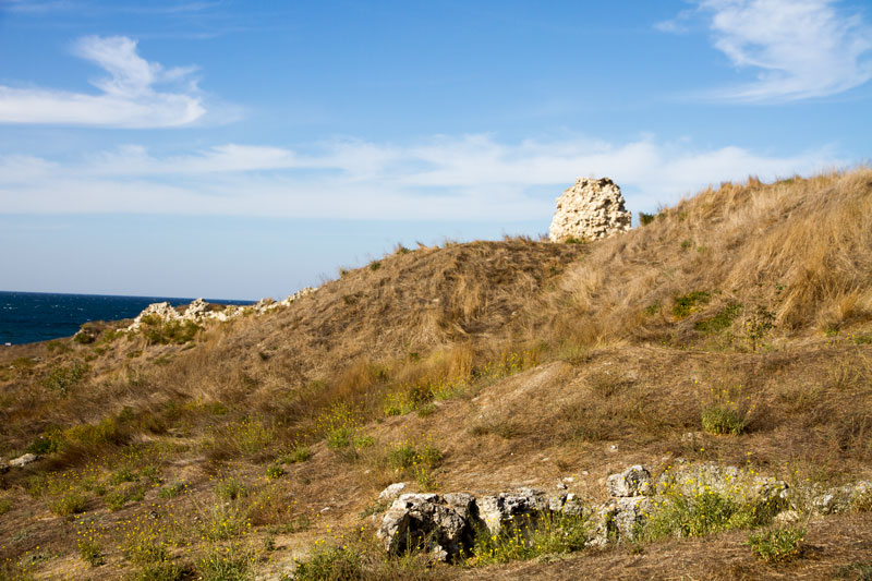 S_9759.jpg