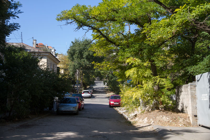 S_9768.jpg