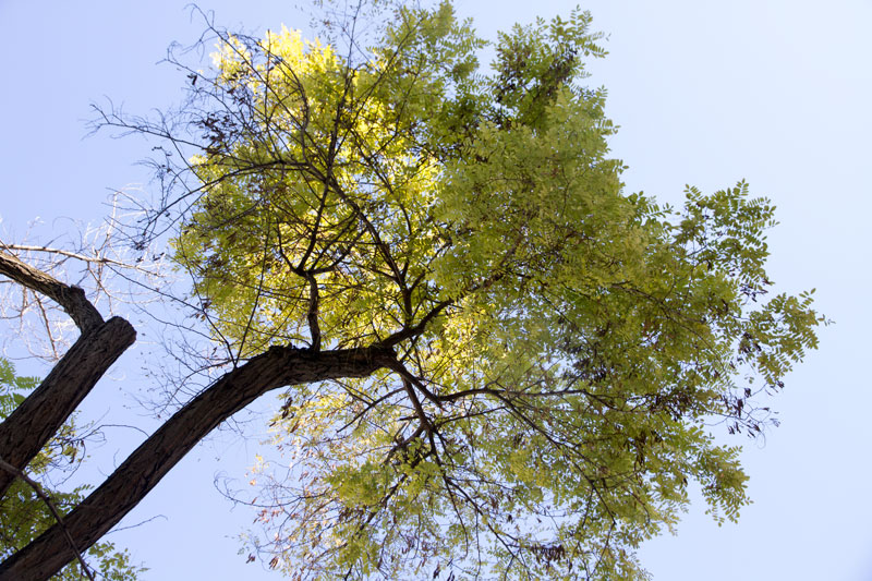 S_9778.jpg