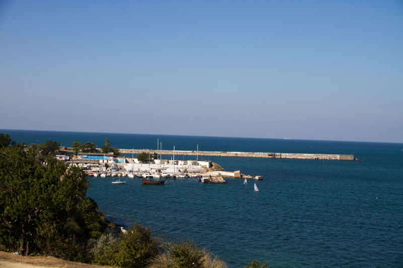 S_9786.jpg