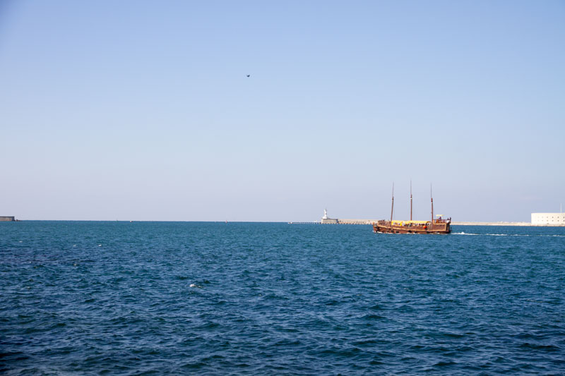 S_9809.jpg