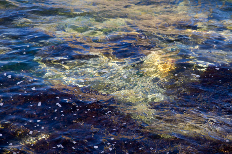 S_9811.jpg