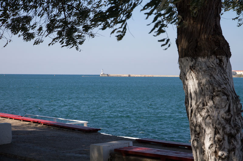 S_9813.jpg
