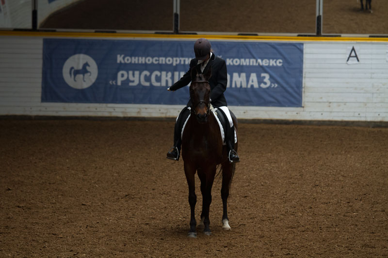 s_9896.jpg
