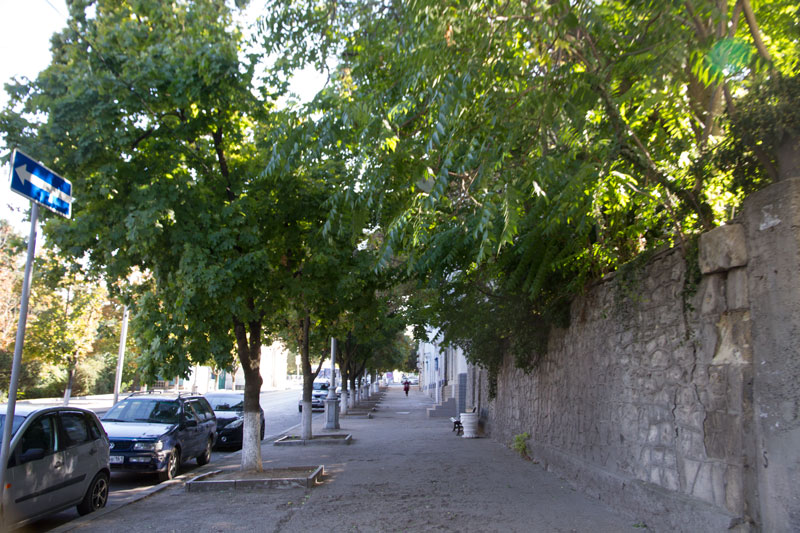 S_9939.jpg