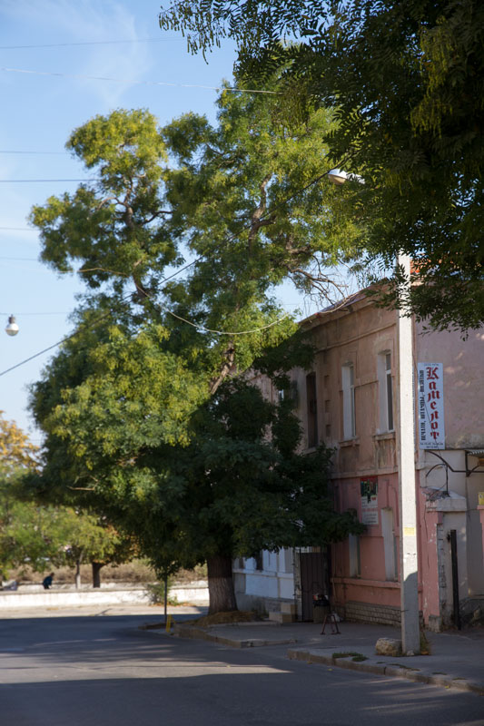 S_9981.jpg