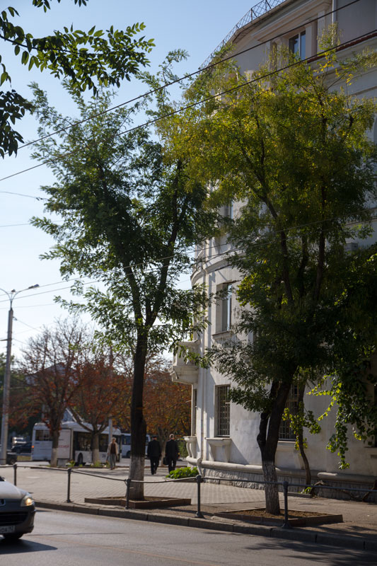 S_9990.jpg