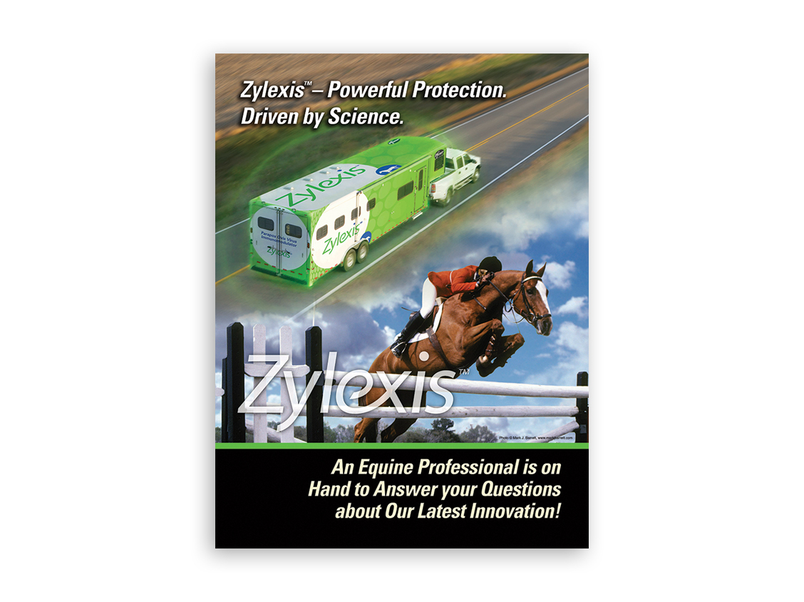 Sales-Aids-Zylexis-1.jpg