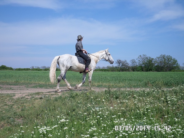SAM_0139.JPG
