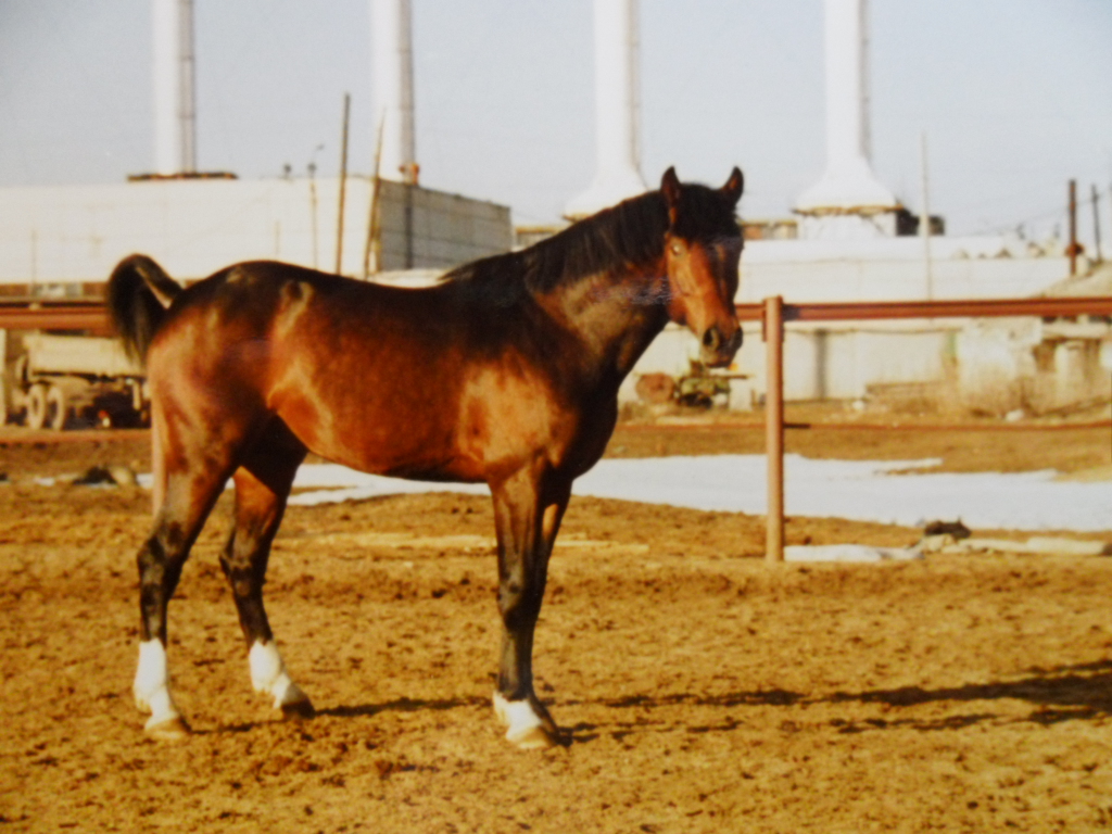 SAM_4290.JPG
