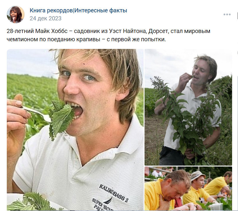 санки.png