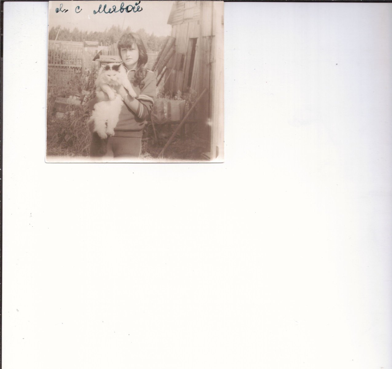 scan 1.xnbak.jpg