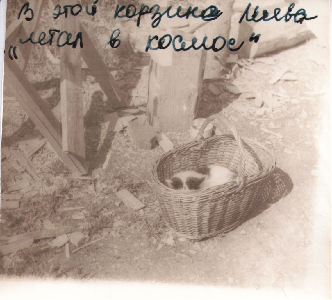 scan 10.jpg