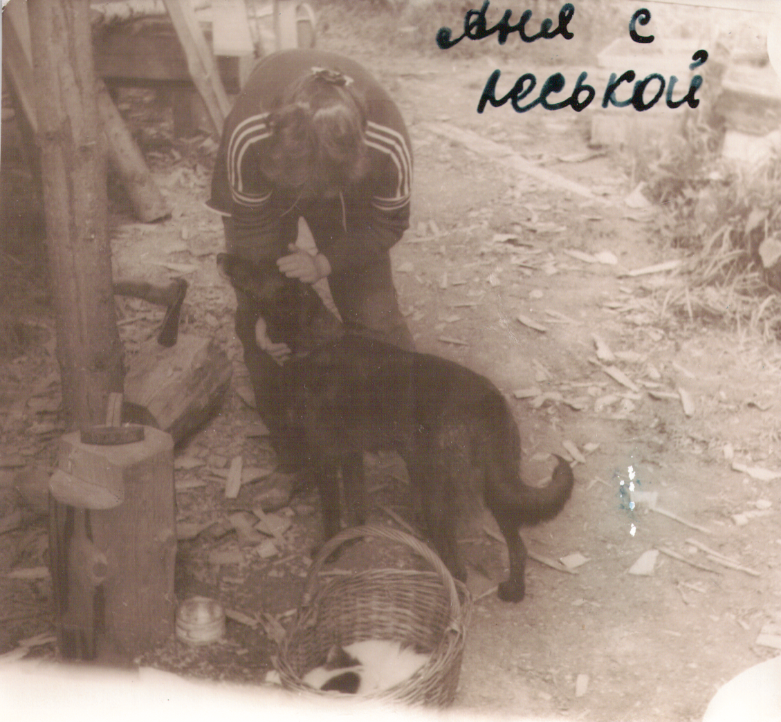 scan 16.png