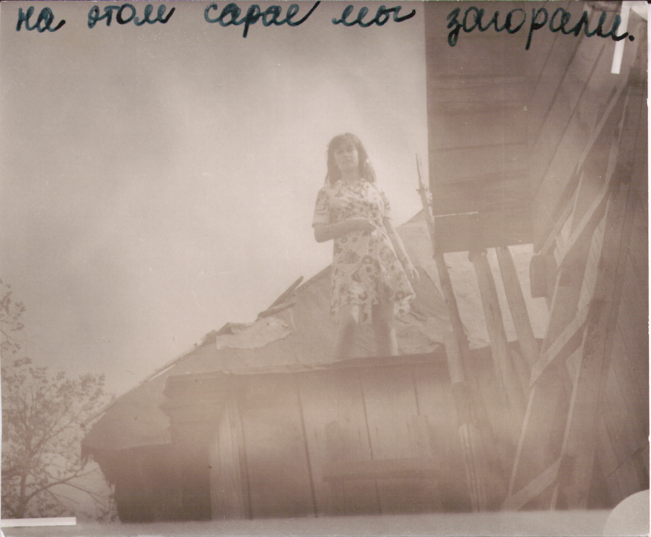 scan 17.png