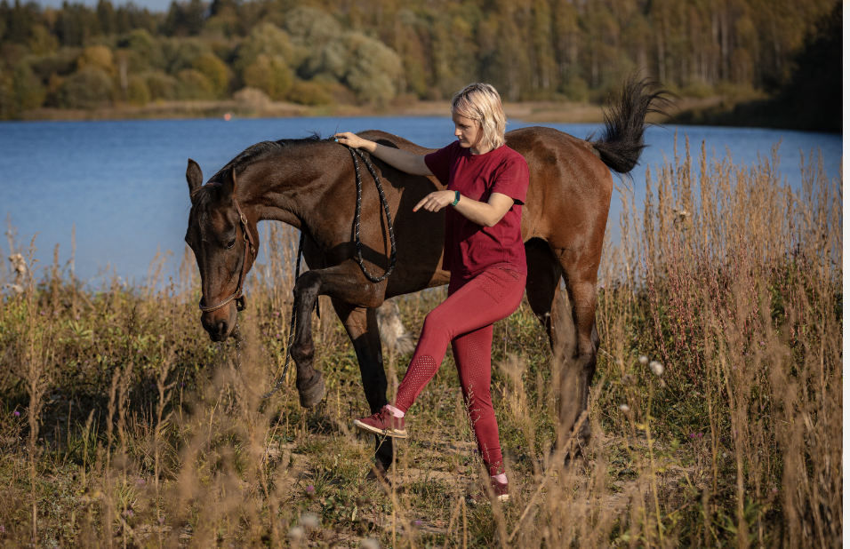 Screenshot 2025-11-20 at 4.36.44 PM.png