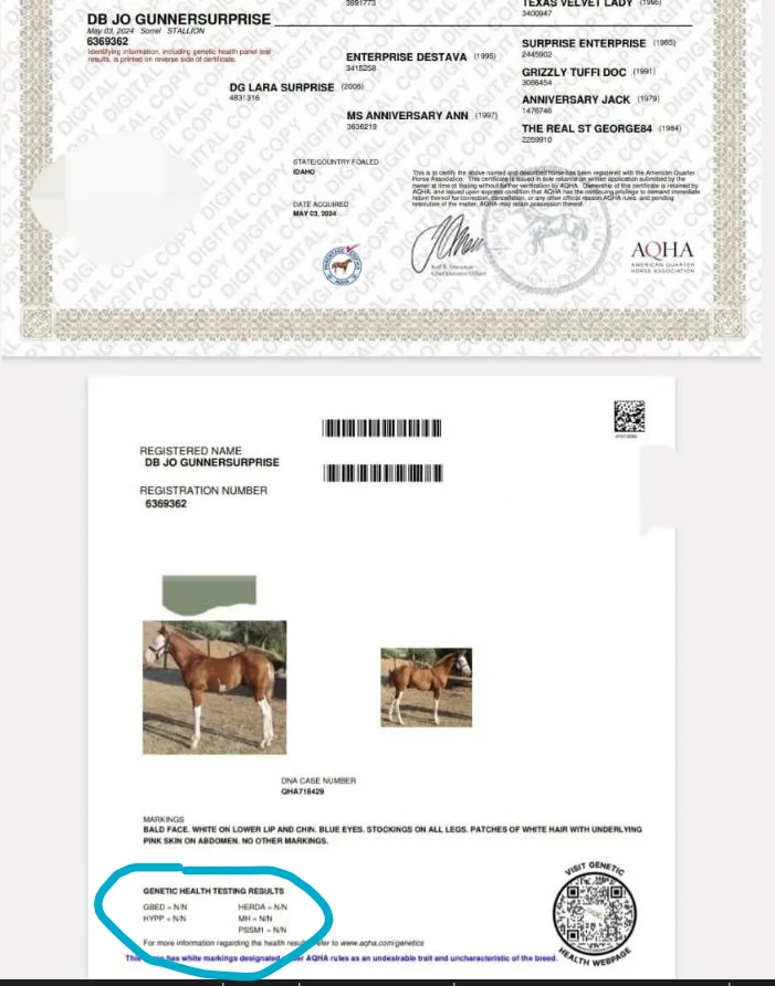 Screenshot 2026-09-29 2147041.webp