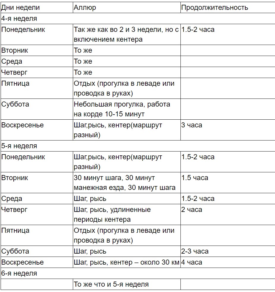 Screenshot_11.jpg