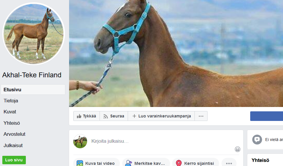 Screenshot_2019-12-12 (3) Akhal-Teke Finland - Etusivu.png