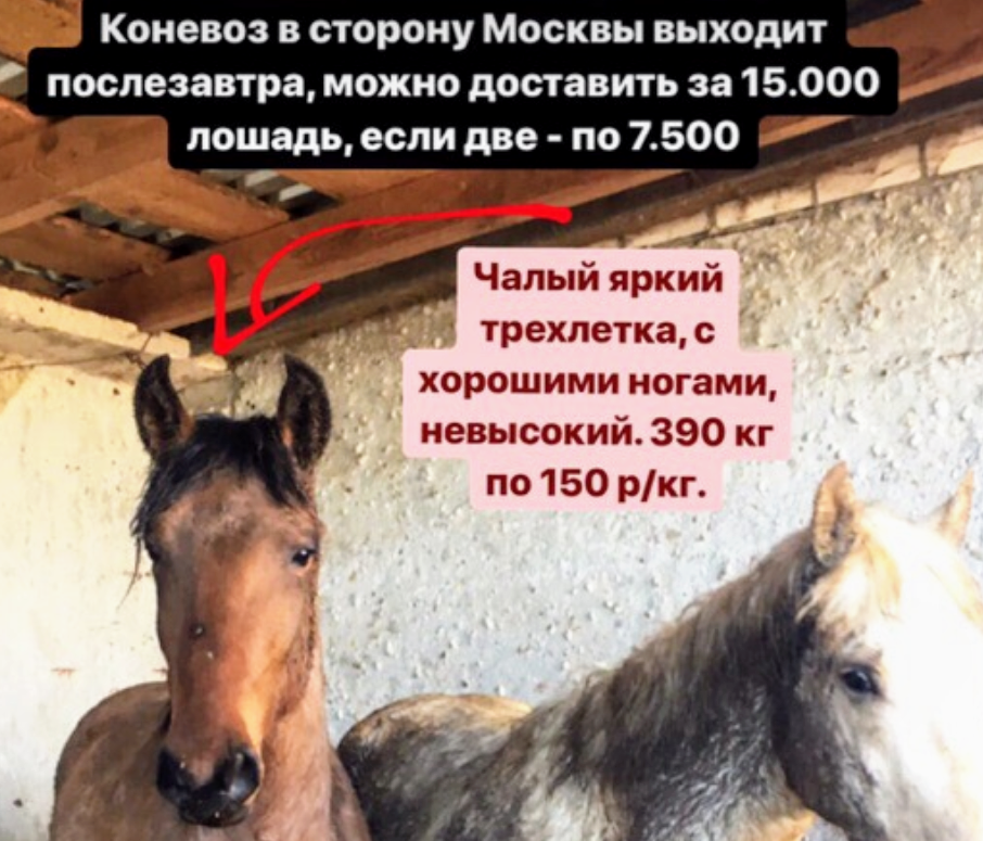 Screenshot_20190308-145629~3.png