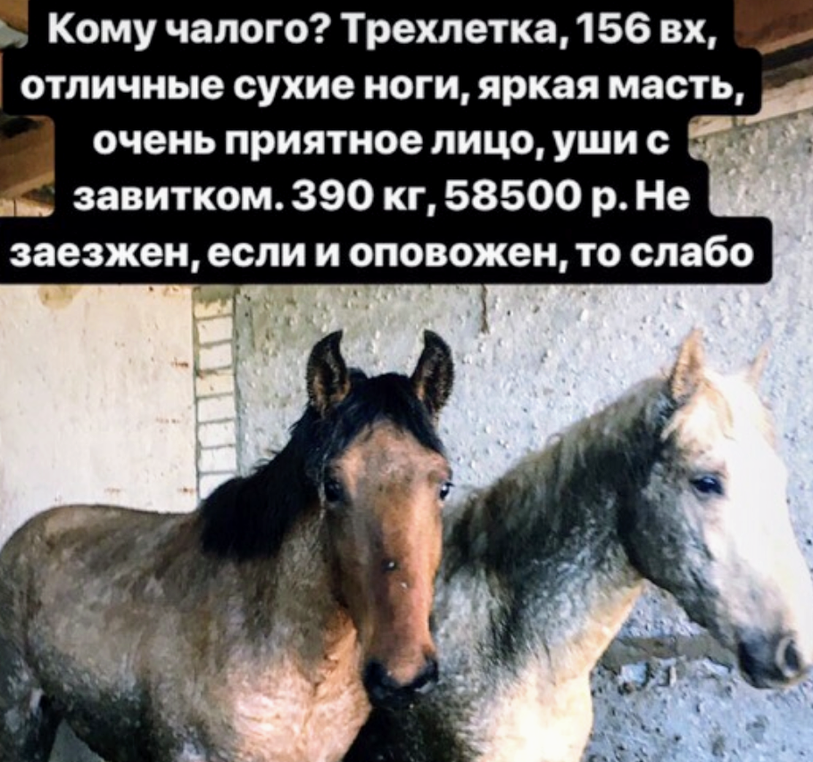 Screenshot_20190308-145635~3.png