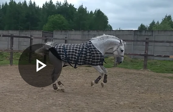 Screenshot_20190526-215532~2.webp