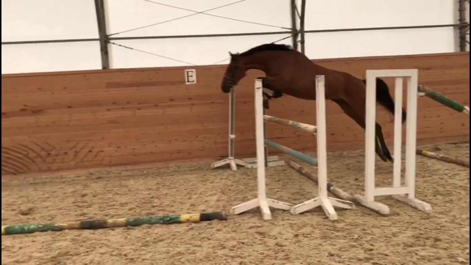 Screenshot_20191001-215534_Video Player.jpg