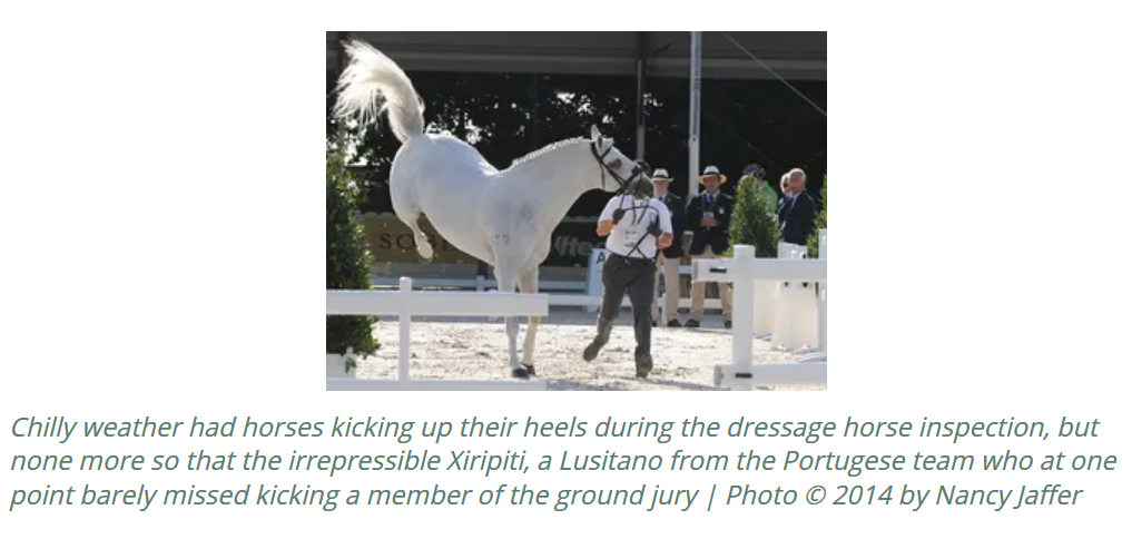 Screenshot_2020-02-08 2014 FEI World Equestrian Games Dressage Horse Inspection.png