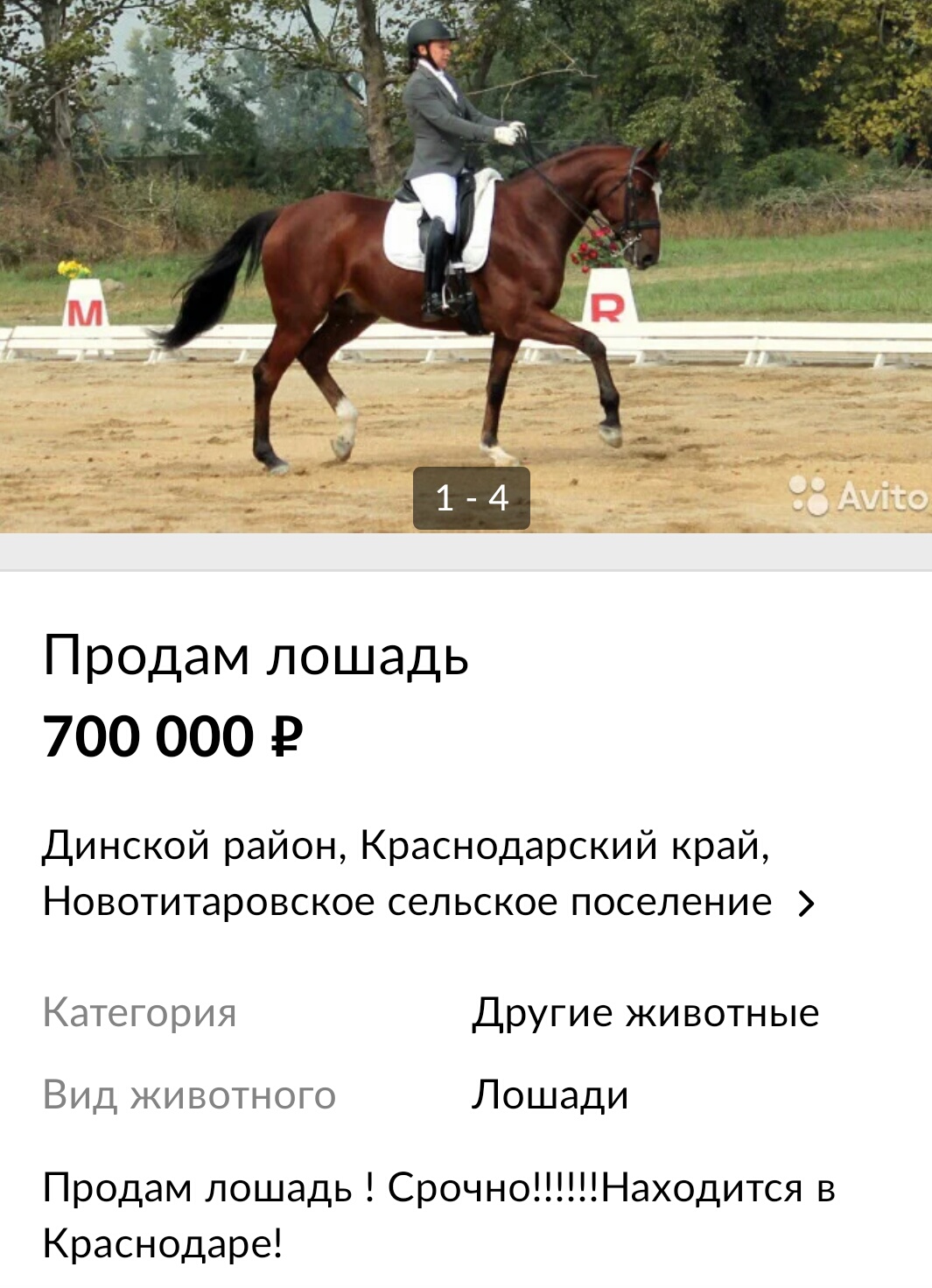 Screenshot_20200124-194835_12-55-05.jpg